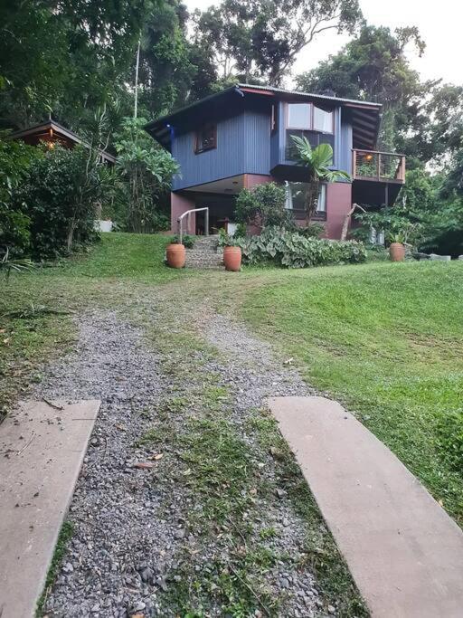 Treeverb Beach House - Daintree Cow Bay Kültér fotó